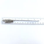 Owl Motif Spine Bookmark Finished In 925 English Hallmarked Sterling Silver