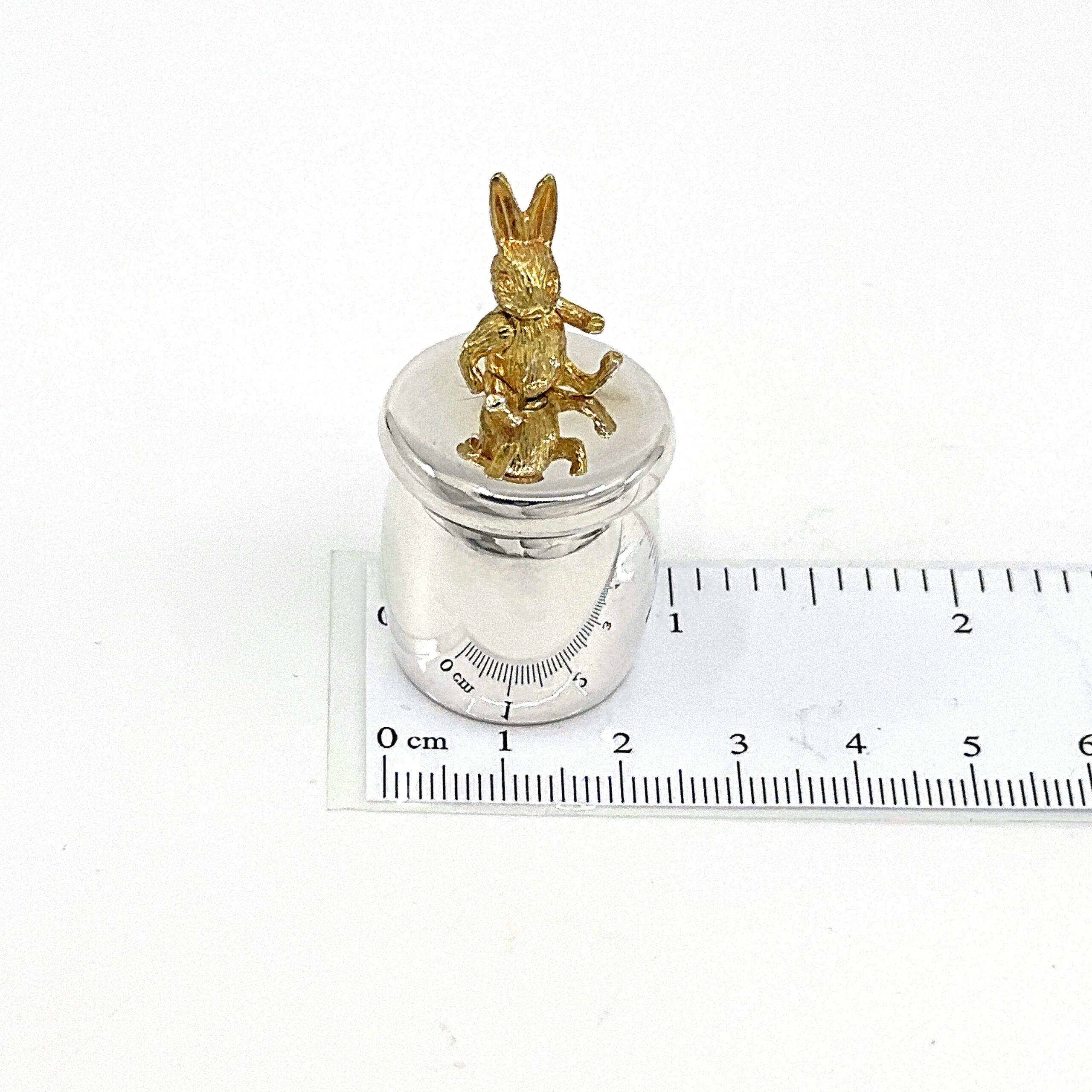 GT1086 (4) Rabbit Tooth Fairy Box Victorian Style With Moving Gold Plated Rabbit Finished In 925 English Hallmarked Sterling Silver
