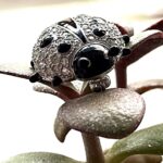 Ladybird Ladybug Pin Brooch Rhodium Plated Metal Alloy Set With Enamel And Clear Czech Crystals