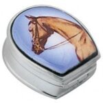 Horse Head Pill Box With Hand Painted Enamel Finished In 925 English Hallmarked Sterling Silver 1 Horse Head Pill Box With Hand Painted Enamel Finished In 925 English Hallmarked Sterling Silver