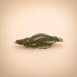 Sterling Silver Shell Brooch with Green CZ and Black Rhodium