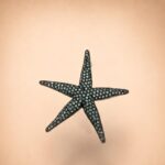 Sterling Silver Pink CZ Black Rhodium Starfish Brooch